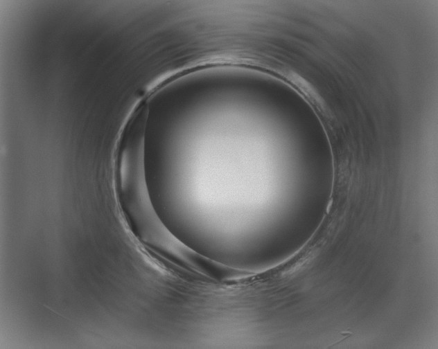 X0000071900854200607141332