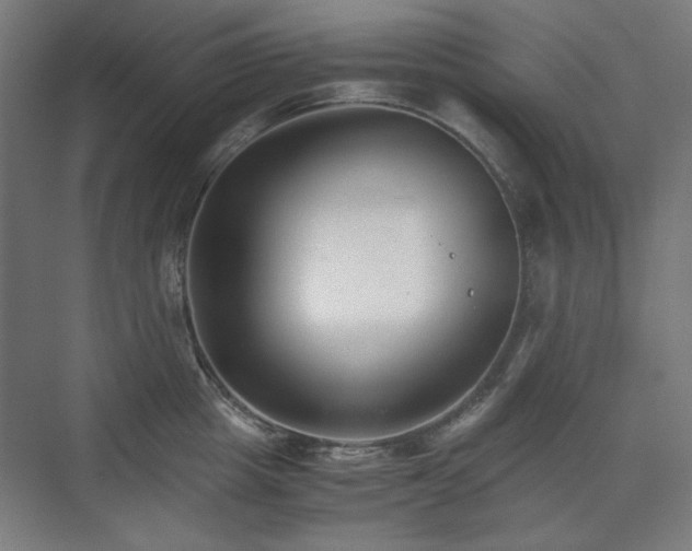 X0000071900857200607141332