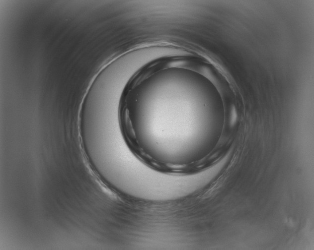 X0000071900858200607141332