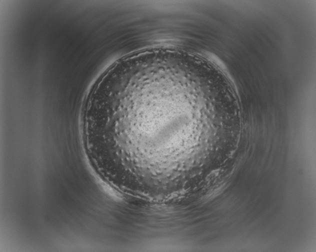 X0000071900859200607141332