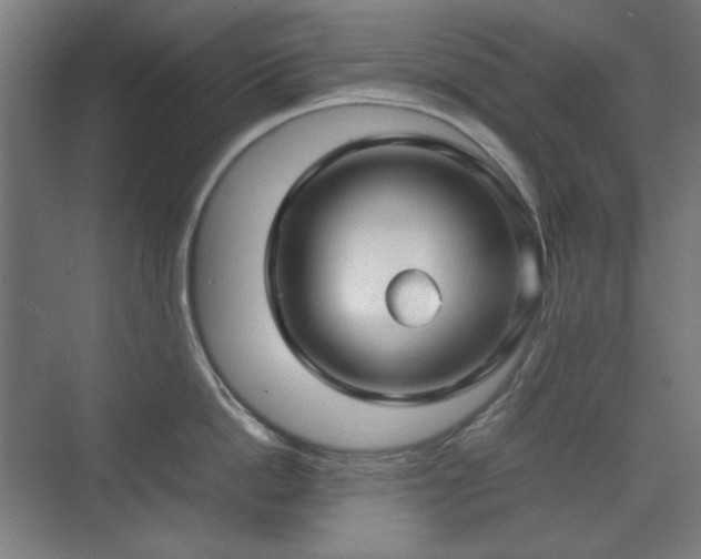 X0000071900862200607141332