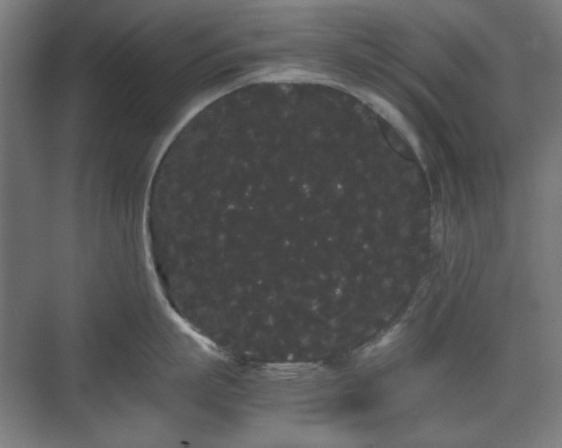 X0000071900863200607141332