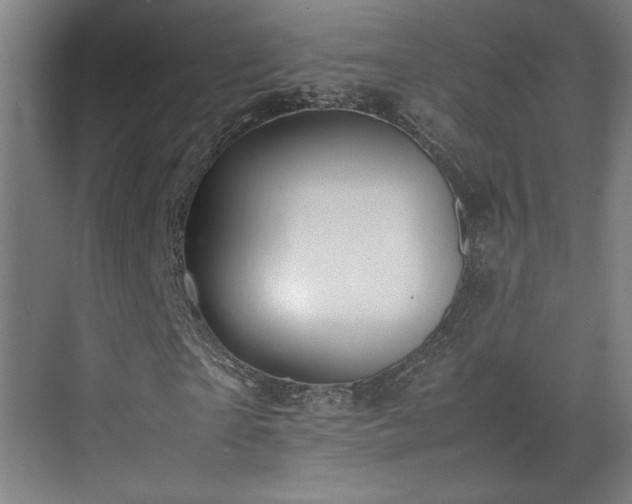 X0000071900865200607141332
