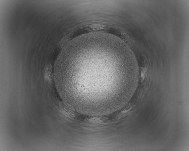 X0000071900867200607141332