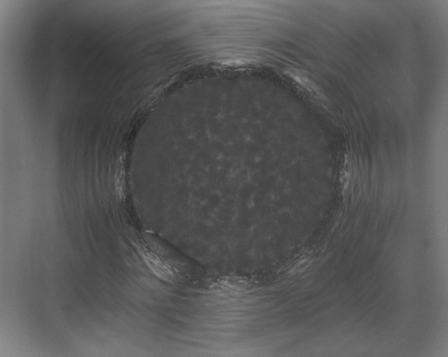 X0000071900868200607141332