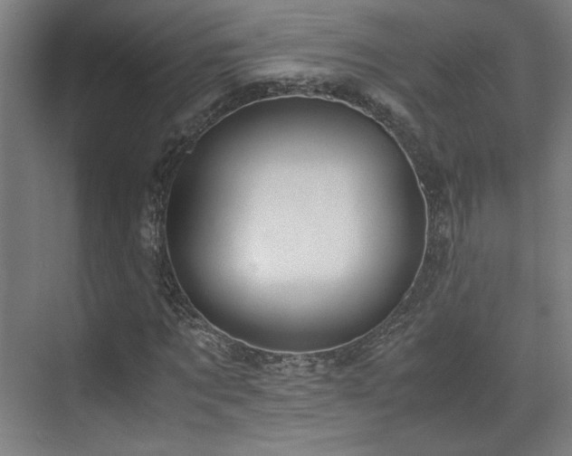 X0000071900869200607141332