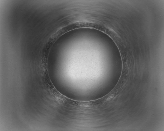 X0000071900870200607141332