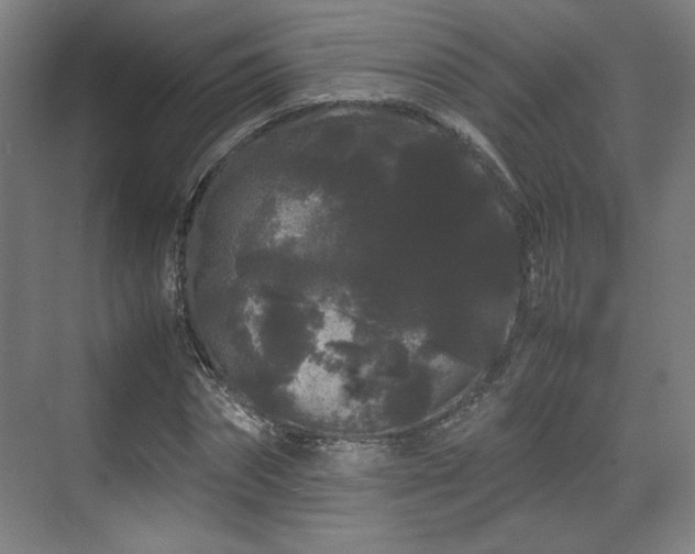 X0000071900874200607141332