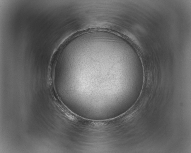 X0000071900878200607141331