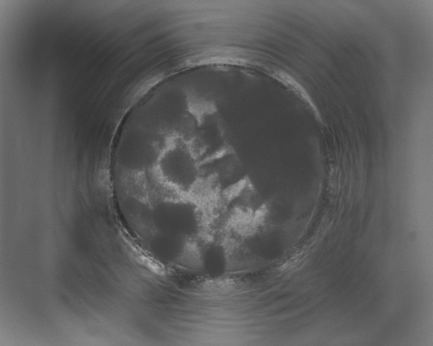 X0000071900882200607141331