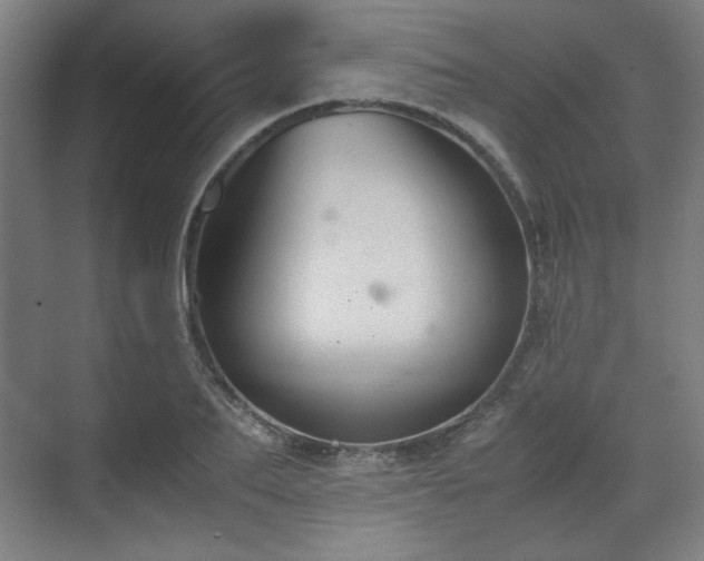 X0000071900887200607141331