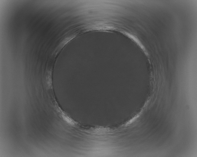 X0000071900889200607141331