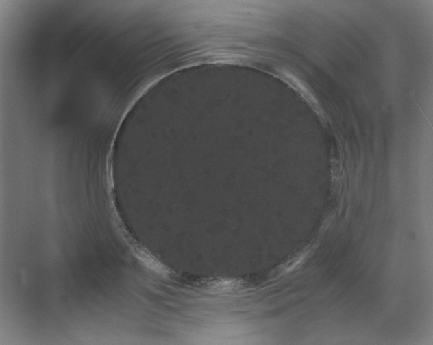 X0000071900891200607141331