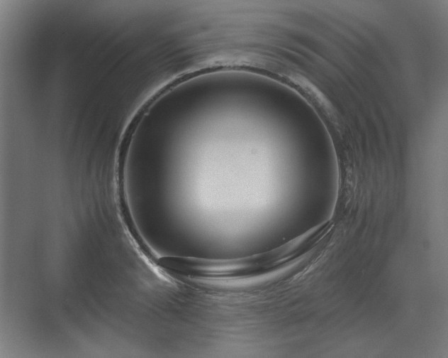 X0000071900894200607141331