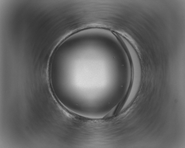 X0000071900902200607141331