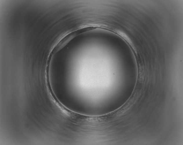 X0000071900906200607141331