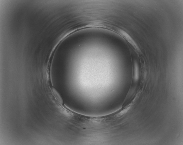 X0000071900908200607141331