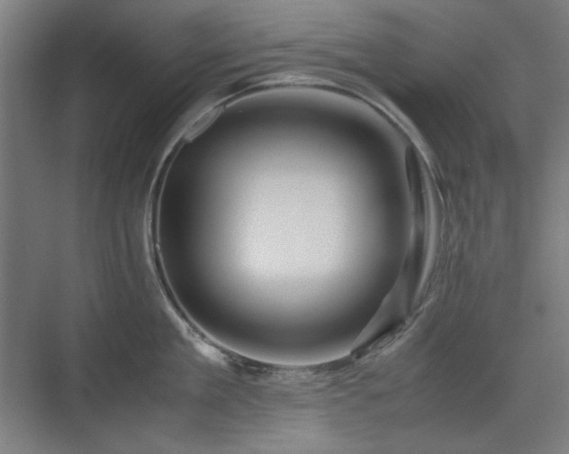 X0000071900909200607141331