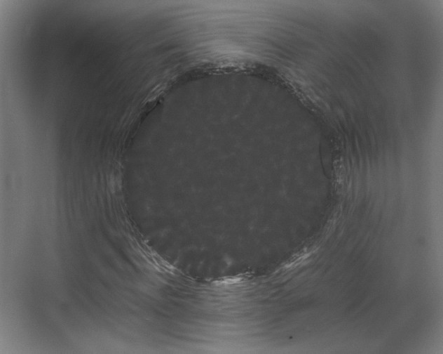 X0000071900916200607141330