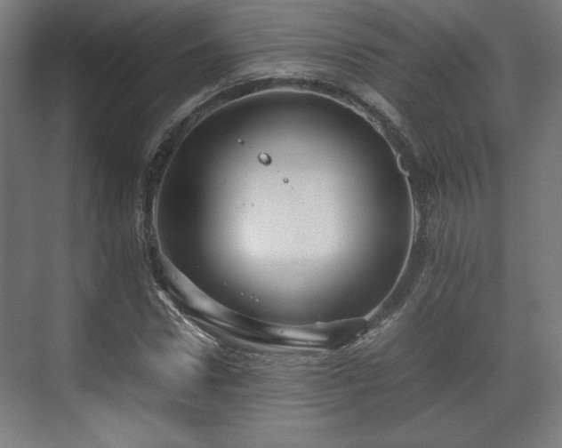 X0000071900922200607141330