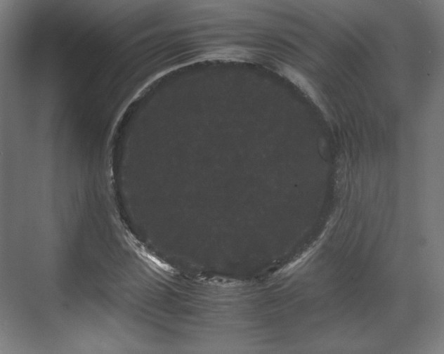 X0000071900923200607141330