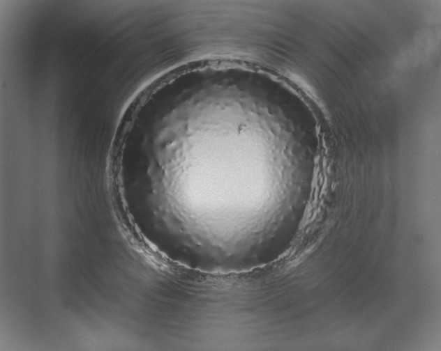 X0000071900928200607141330