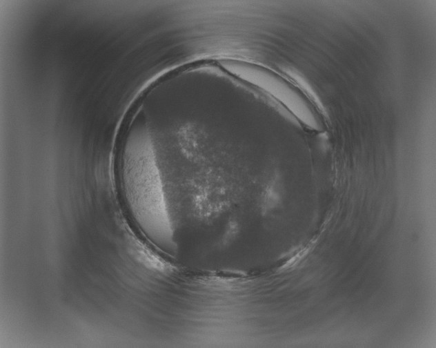 X0000071900932200607141330