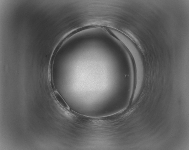 X0000071900940200607141331