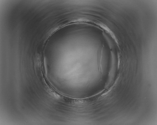 X0000071900945200607141331
