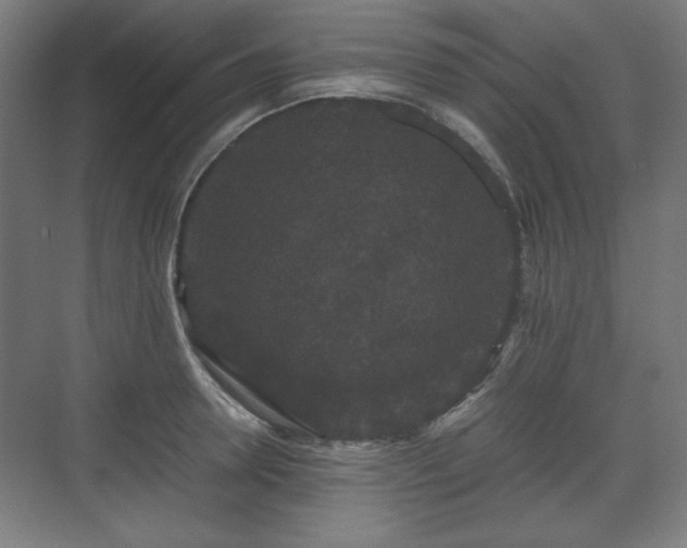 X0000071900946200607141331