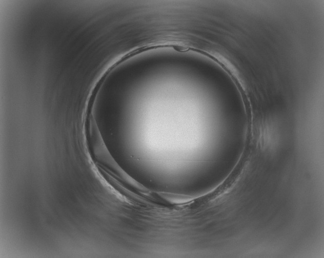 X0000071900949200607141331