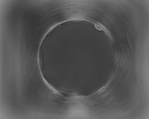 X0000071900958200607141331