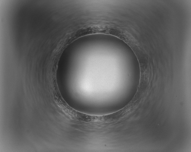 X0000071900961200607141330