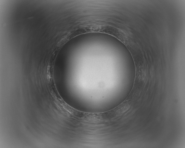 X0000071900962200607141330