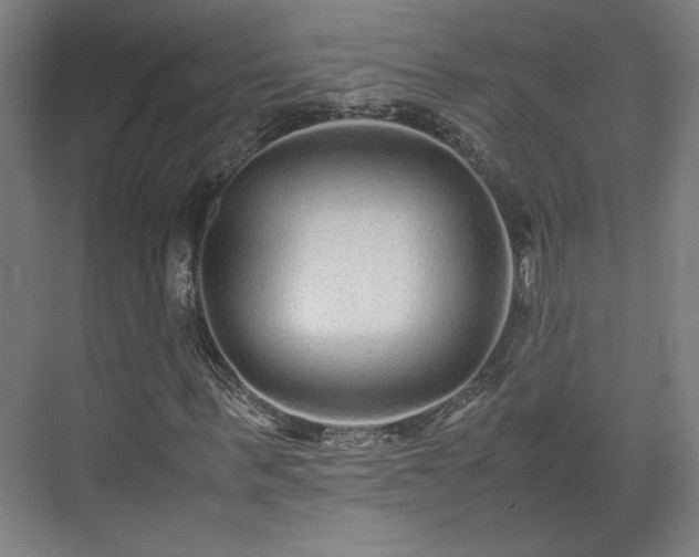 X0000071900963200607141330