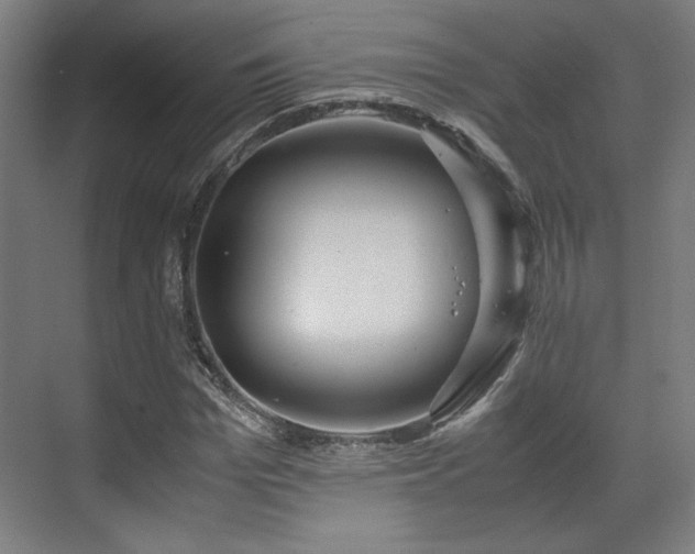 X0000071900969200607141330