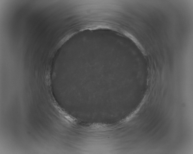X0000071900977200607141330