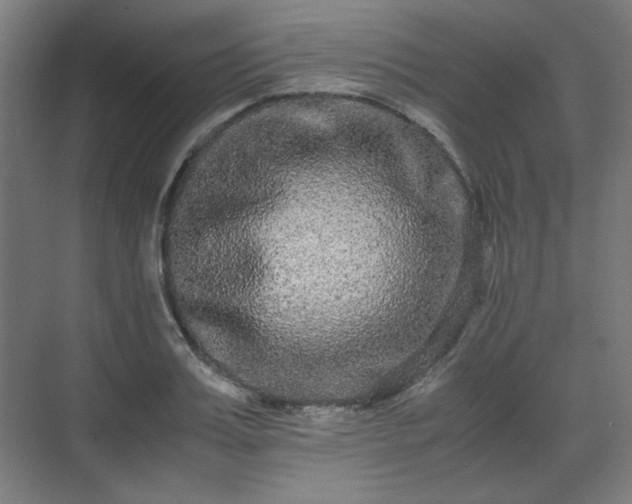 X0000071900987200607141330