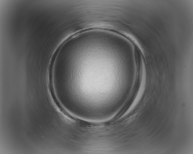 X0000071900999200607141329