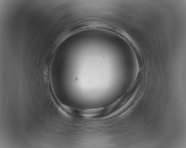 X0000071901001200607141329