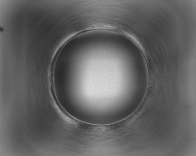 X0000071901003200607141329