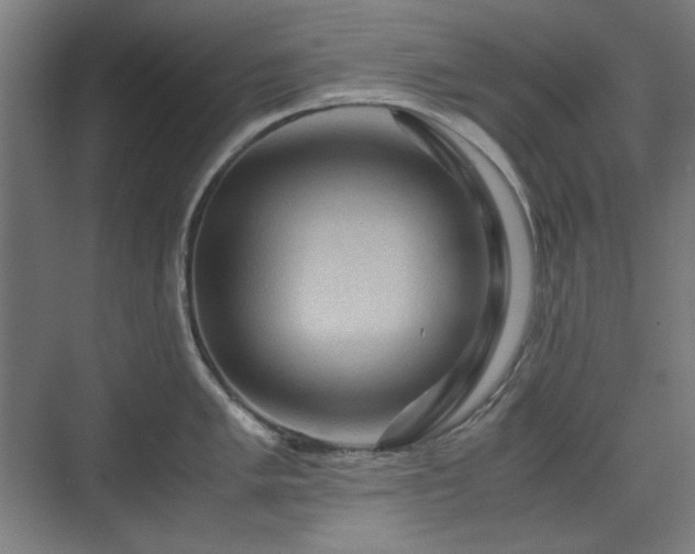 X0000071901005200607141329