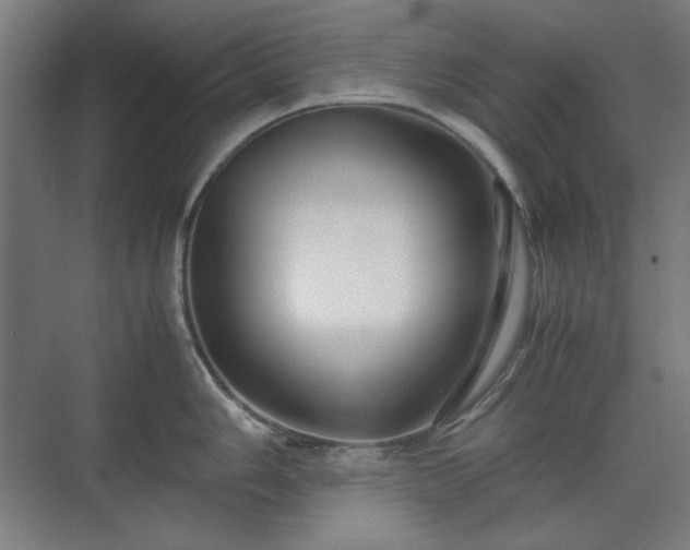 X0000071901006200607141329