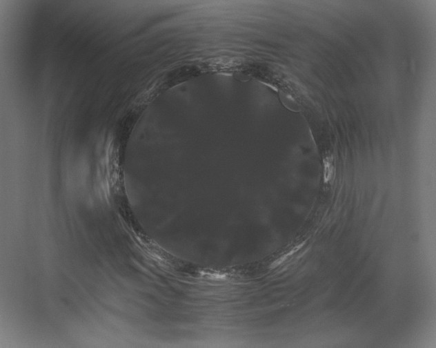 X0000071901011200607141329
