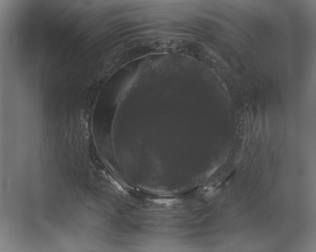 X0000071901013200607141329