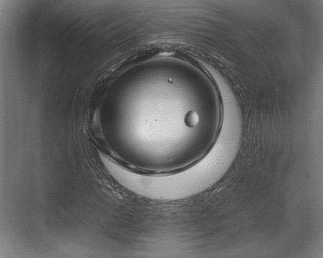 X0000071901014200607141329