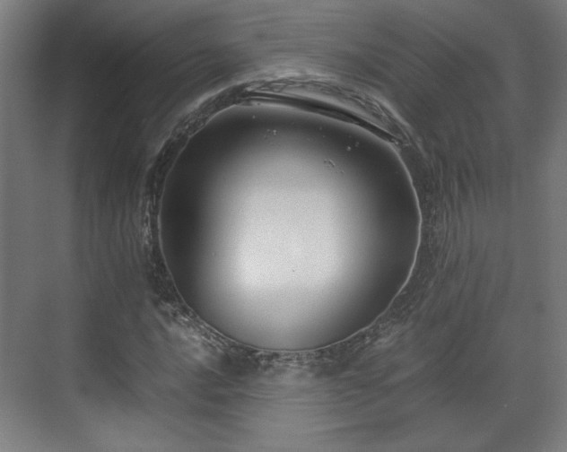 X0000071901016200607141329