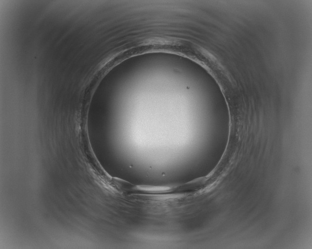 X0000071901017200607141329
