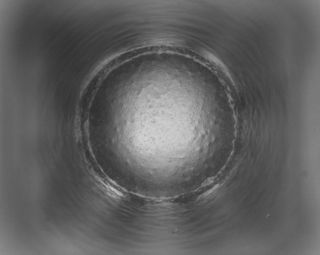 X0000071901019200607141329