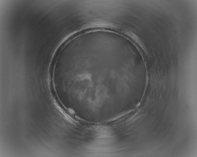 X0000071901024200607141329